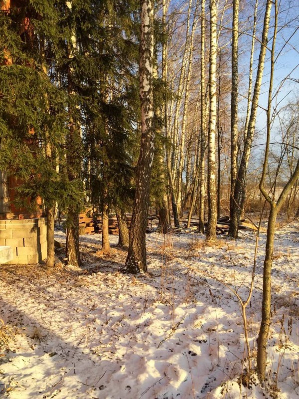 IMG_3484 — копия.JPG (472.05 КБ) Просмотров: 35083 IMG_3484 — копия.JPG