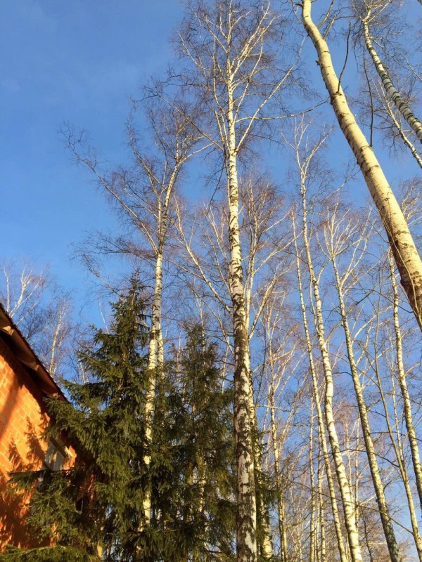 IMG_3486 — копия.JPG (468.63 КБ) Просмотров: 35087 IMG_3486 — копия.JPG